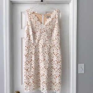 Lace Overlay Loft Dress